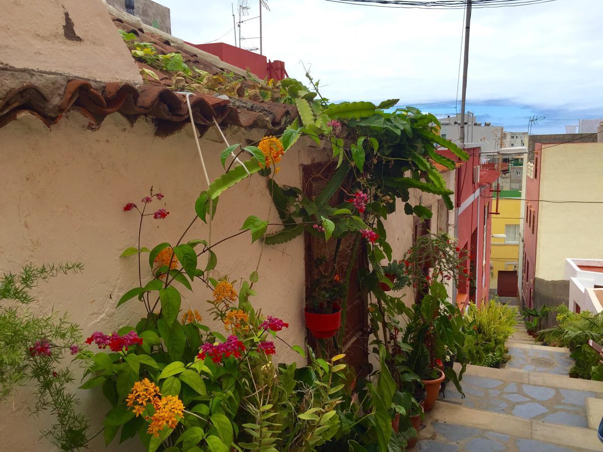 فيلا Tazacorte Puerto Casa Nueva المظهر الخارجي الصورة